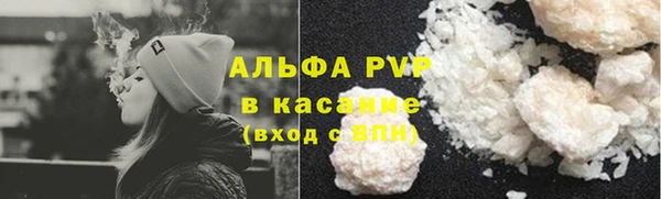 стаф Нефтегорск