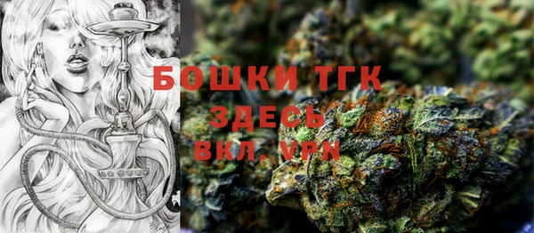 стаф Нефтегорск