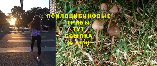 стаф Нефтегорск