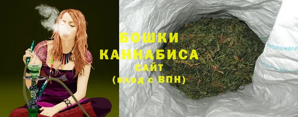 стаф Нефтегорск