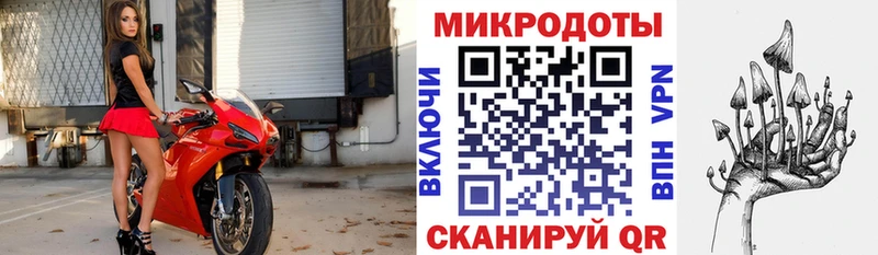 Псилоцибиновые грибы прущие грибы  Гаджиево 